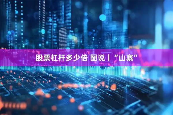 股票杠杆多少倍 图说丨“山寨”