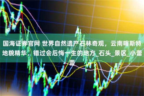 国海证券官网 世界自然遗产石林奇观，云南喀斯特地貌精华，错过会后悔一生的地方_石头_景区_小蕾