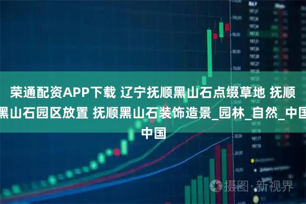 荣通配资APP下载 辽宁抚顺黑山石点缀草地 抚顺黑山石园区放置 抚顺黑山石装饰造景_园林_自然_中国