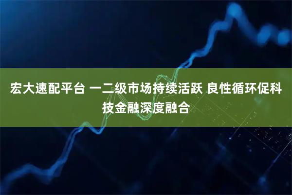 宏大速配平台 一二级市场持续活跃 良性循环促科技金融深度融合